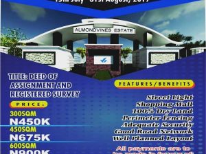 Vines Realty