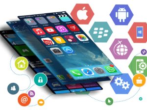 Software Development Training
