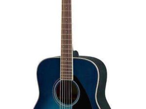 Acoustic guitar