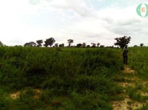 Residential plot for sale