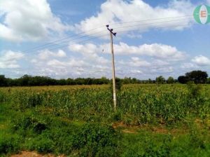 Agricultural Land for Sale