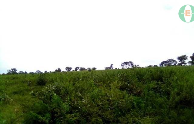 Plot of Land For Sale