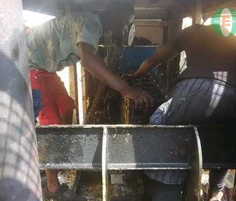 call for mikano  and all diesels and petrol generator maintenance