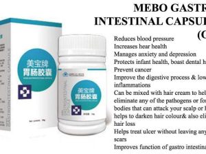 Norland Mebo Gastrointestinal capsule