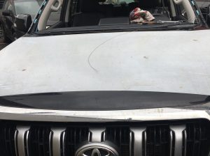 Lexus Windscreen for sale