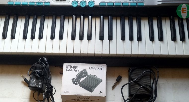 Casio LK-220 Piano (Keyboard)